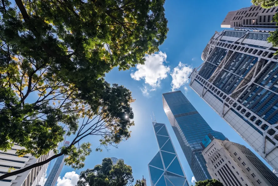 Glass towers through tree canopy