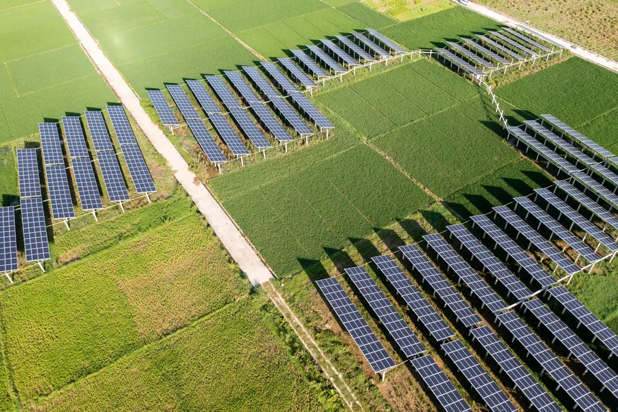 Solar arrays among green fields