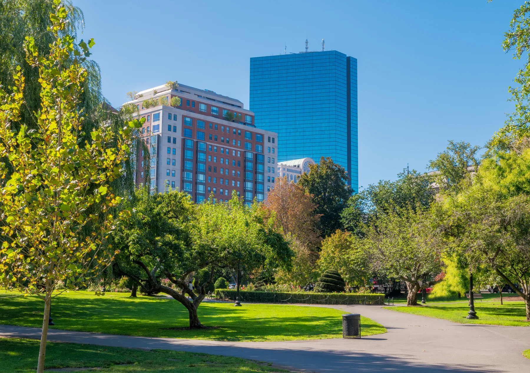 City park with a glass tower behind