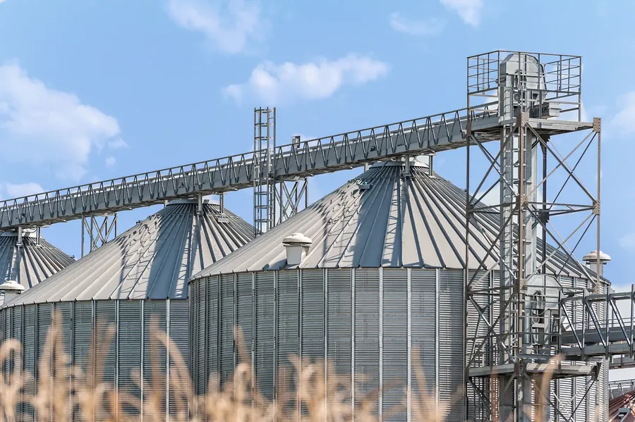 Grain silos and conveyor