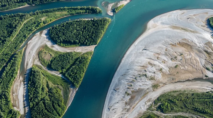 Braided river through forest