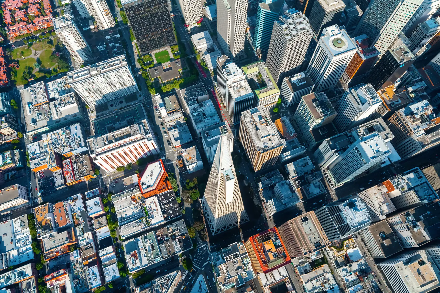 Downtown towers from above